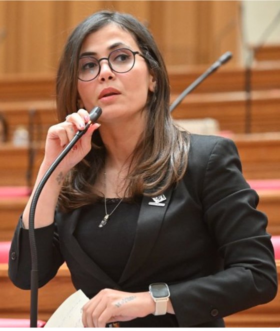 النائبة نيفين إسكندر